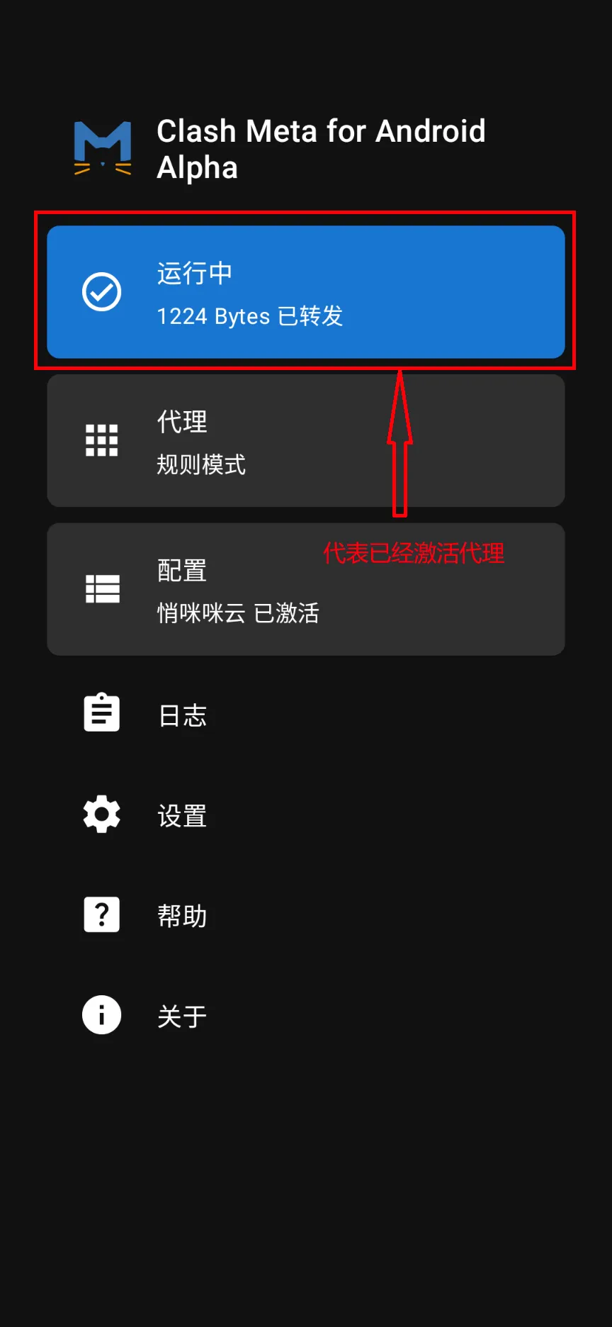 安装Clash meta图